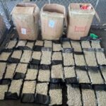 DNCD apresa hombre con 39 paquetes de marihuana en el Puerto Haina Oriental