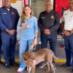 @CarolinaMejiaG Y así vamos con Pepe en su primer día de trabajo, comenzamos en el Cuartel General felicitando a nuestros @Bomberosdnen su día