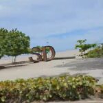 @CaamanoVive Hecmilio Galván Este fenómeno en todas nuestras costas representa una desgracia porque implica que la cobertura orgánica del suelo y sus nutrientes son lavados y conducidos al Mar disminuyendo la capacidad productiva de los suelos
