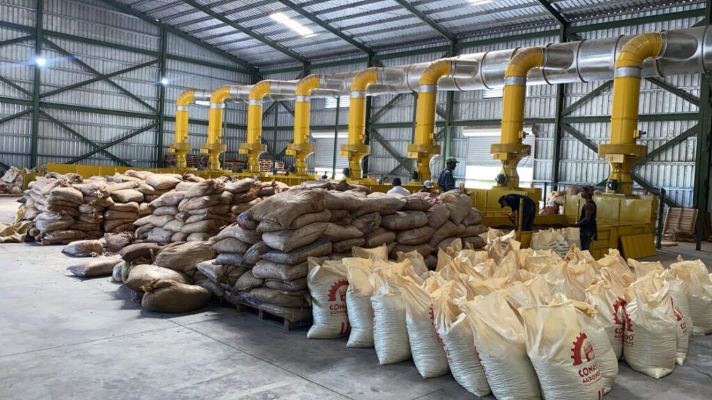 @AgriculturaRD @LimberCruzL @EulalioRamirezsupervisa el proceso de secado de cacao que el Ministerio ha proporcionado a los productores para proteger su cosecha tras las fuertes lluvias de las últimas semanas