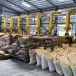 @AgriculturaRD @LimberCruzL @EulalioRamirezsupervisa el proceso de secado de cacao que el Ministerio ha proporcionado a los productores para proteger su cosecha tras las fuertes lluvias de las últimas semanas