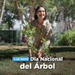 @RaquelArbaje Hoy 5 de mayo celebramos el día nacional del Árbol