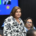 DiputadosRD La diputada Francisca Jaque, solicita el conocimiento del informe de la DGII, frente a los materiales y la disponibilidad, para la implementación del proyecto de ley sobre el uso de placas de vehículos con distintivos de cada provincia