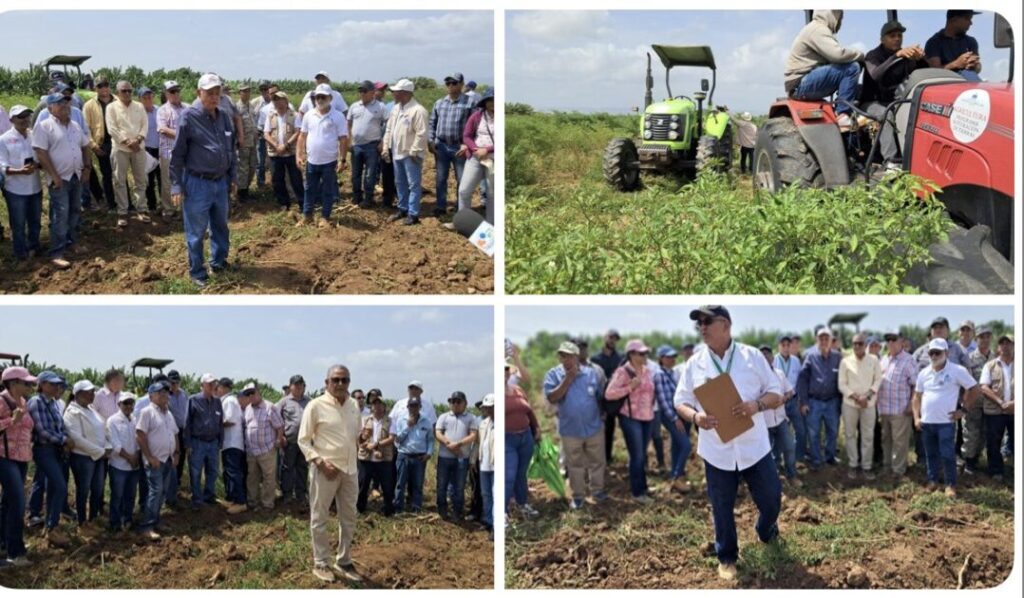@LimberCruzL inicia el período de veda agrícola en las regionales norte y noroeste, coordinado por nuestra Dirección de Sanidad Vegetal. Buscamos proteger tomates y solanáceas de la mosca blanca, trips y virosis