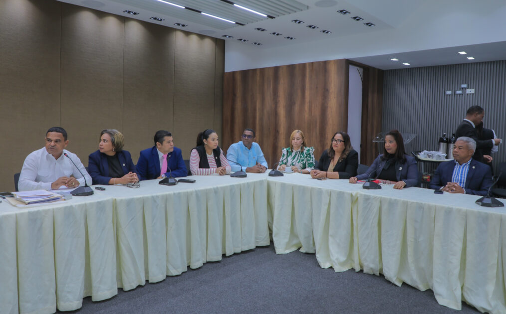 @DiputadosRD @Sadoky_s continúa con el estudio de la iniciativa del proyecto de ley sobre gestión de la ciberseguridad en la República Dominicana
