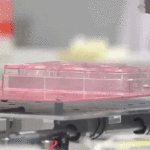 EN VIVO @MESCYTRD: “BIOIMPRESIÓN 3D EN MEDICINA REGENERATIVA E INGENIERIA DE TEGIDOS”  |XX Congreso Internacional de Investigación Científica 2025 (2DA entrega)