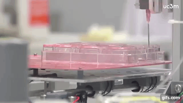 EN VIVO @MESCYTRD: “BIOIMPRESIÓN 3D EN MEDICINA REGENERATIVA E INGENIERIA DE TEGIDOS”  |XX Congreso Internacional de Investigación Científica 2025 (2DA entrega)