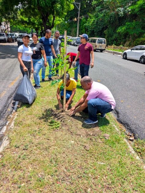 @AlcaldiaDN Hoy sumamos 140 nuevos árboles de caoba criolla y almácigo en la avenida Reyes Católicos, como parte del Plan de Arbolado Urbano de la Alcaldía del Distrito Nacional