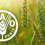 @FAOAmericas| Precios mundiales de los alimentos aumentaron 1.6% en julio por alza de la carne y aceites vegetales