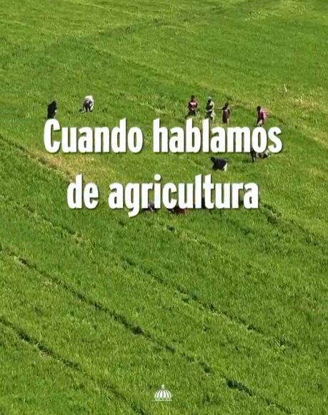 @AgriculrturaRD La agricultura impulsa alimentos, empleo, exportaciones, crecimiento y estabilidad