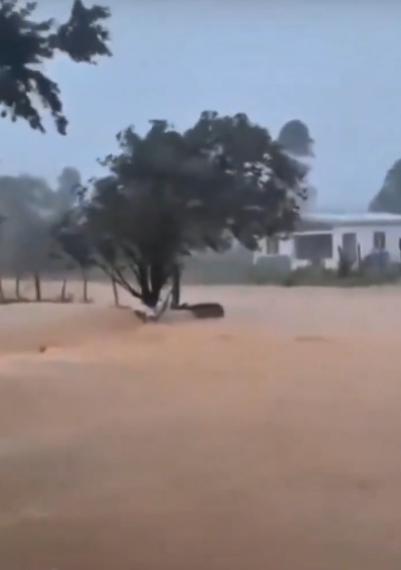 @JeanSuriel REPORTES | Así fueron los efectos del poderoso Huracán Melissa en Jamaica esta tarde, con vientos máximos sostenidos de 295 km/h