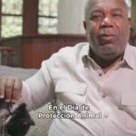 @TonyPena__ Hoy en el #DíaMundialDeLosAnimales quiero compartirles a mi fiel compañera: mi gata