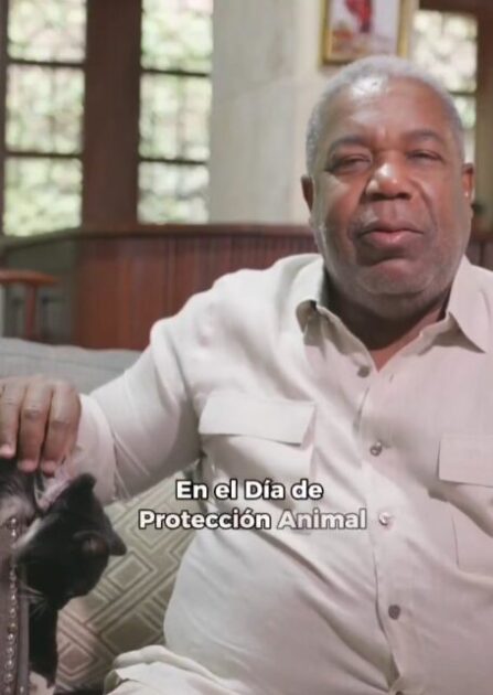 @TonyPena__ Hoy en el #DíaMundialDeLosAnimales quiero compartirles a mi fiel compañera: mi gata