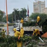 @AlcaldiaDN En medio de la alerta roja por la tormenta tropical Melissa, nuestros equipos operativos continúan activos en los distintos sectores del Distrito Nacional, retirando desechos y limpiando imbornales