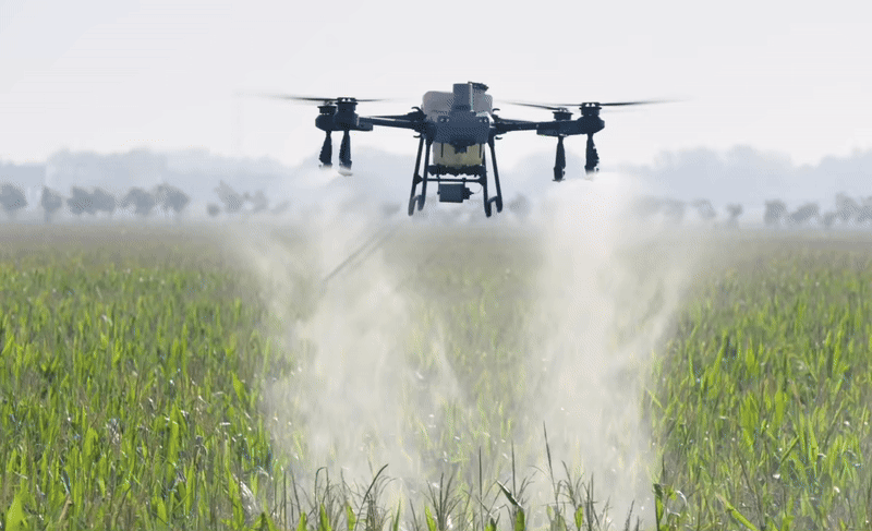 Hay 148 productores que ya usan drones en sus fincas agrícolas en el país