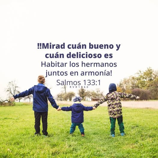 “¡Mirad cuán bueno y cuán delicioso es habitar los hermanos juntos en armonía!” — Salmos 133:1