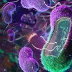 @SanzLovaton No se pierdan el nuevo episodio de #YayoPintoPodcast, este domingo a las 7:00 P.M. por la plataforma de podcast de tu preferencia, junto a don @MaldonadoPersio