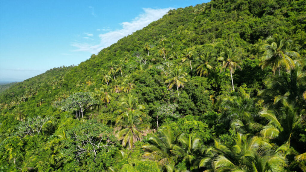 República Dominicana impulsa plataforma nacional de financiamiento climático con apoyo del Fondo Verde para el Clima (GFC)