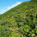 República Dominicana impulsa plataforma nacional de financiamiento climático con apoyo del Fondo Verde para el Clima (GFC)