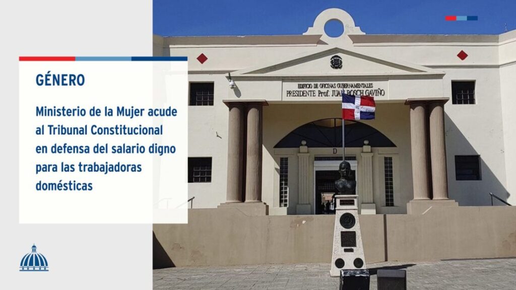 @ComunicaciopnDO El @MMujerRDacudió al Tribunal Constitucional, para respaldar la defensa técnica de los sindicatos de trabajadoras domésticas