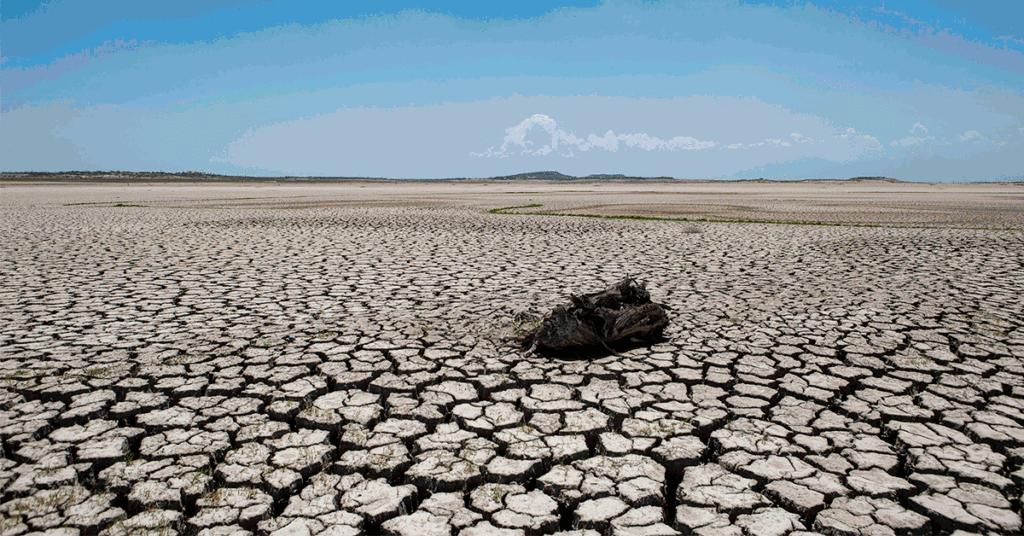 INFORME @ONU_es alerta: el mundo entra en una era de bancarrota hídrica global ¡¡AGUA DULCE SE AGOTA¡¡