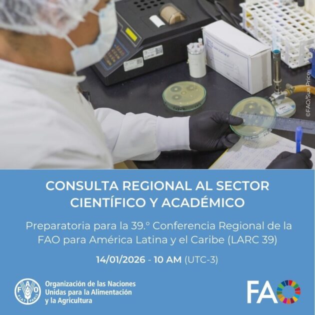 @FAOAmericas El sector científico y académico tiene un rol clave en la transformación de los #SistemasAgroalimentarios