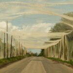 Evolución del frente: cuatro años de guerra en Ucrania