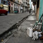 Cubanos en el exterior podrán invertir en sector privado