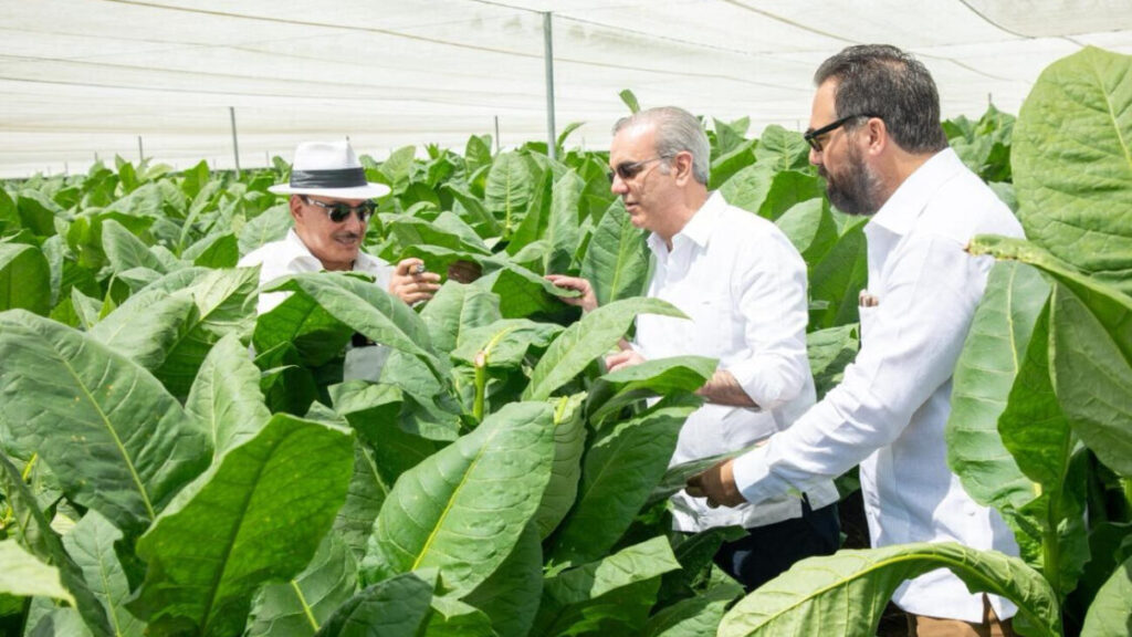 Presidente Abinader visita finca tabacalera “La Milagrosa” en Monte Plata, para impulsar tecnología en la producción de capa