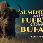 ORACIÓN de inicio de semana: RD una NACIÓN bendecida por DIOS “AUMENTA MIS FUERZAS SEÑOR COMO EL BÚFALO. SI TÚ ME SOSTIENES ME LEVANTARÉ” Salmo 92