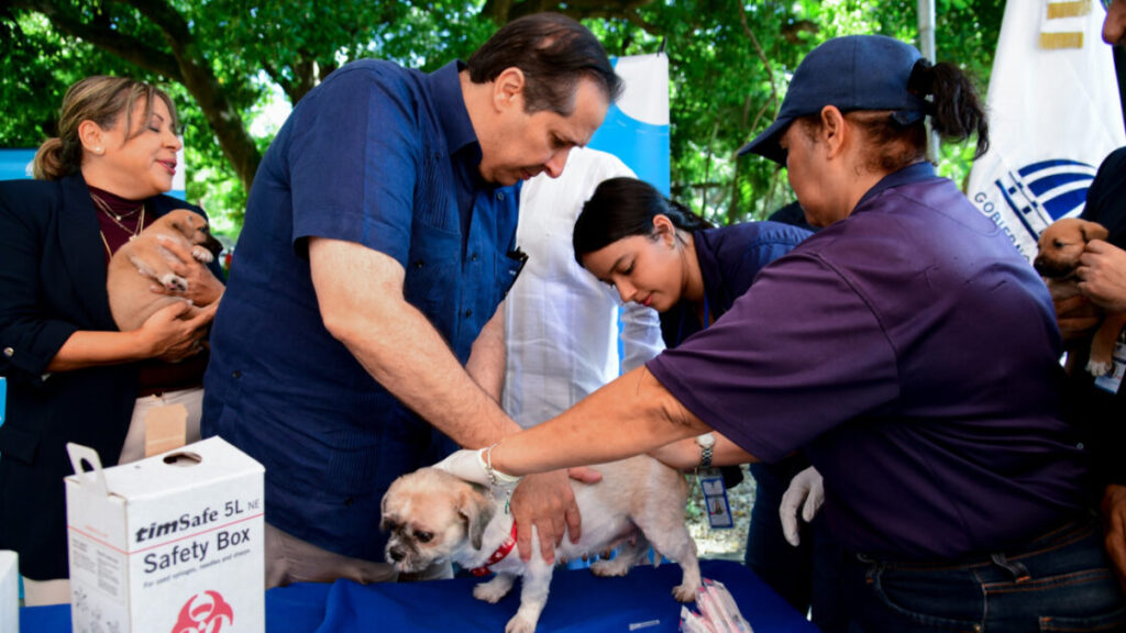 Ministerio de Salud realizará jornada de vacunación para perros y gatos este viernes 21 en Ciudad Juan Bosch