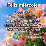 LA oración y el versículo de HOY | PADRE CELESTIAL, te entregamos este día con sus desafíos y bendiciones, nada tememos porque TÚ ESTAS CON NOSOTROS, MI ESCUDO, MI ROCA, MI ESPADA CELESTIAL