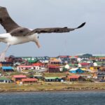 Argentina sancionará a empresas que operen en Malvinas